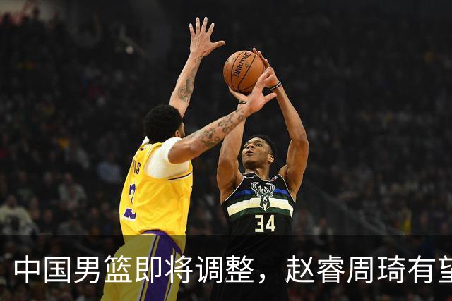 中国男篮即将调整，赵睿周琦有望回归，郭士强压力大！