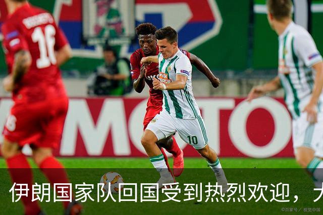 伊朗国家队回国受到热烈欢迎，大批球迷接机