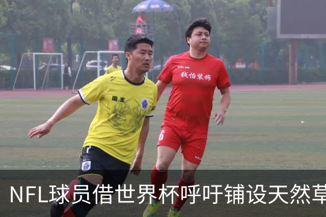 NFL球员借世界杯呼吁铺设天然草，专家：成本问题客观存在，可行性存疑
